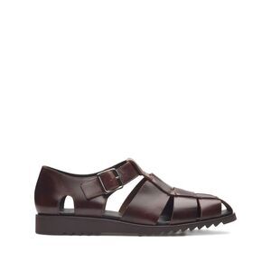 Paraboot Brown Sandals Men